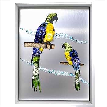 コンゴーインコ 絵画 Amazon.co.jp: 鳥 インコ 絵画 インテリア 絵 プレゼント 新築